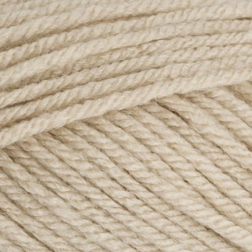 Stylecraft 9061218 Special Chunky Parchment (1218) Yarn - 100g