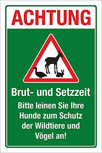 Schild Brut und Setzzeit Hunde anleinen Wildtiere Vögel Rehe 600 x 400 mm | 3 mm Alu-Verbund, wetterfester UV-Direktdruck, robust und langlebig, Made in Germany