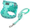 DORAMIO Step-in Dog Harness and Leash Set, Soft Mesh No-Chock Reflective Breathable Easy Walk Lightweight Vest Harnesses with Safety Buckle for Small Dogs, Cats, Puppies (Light Green, XS)
