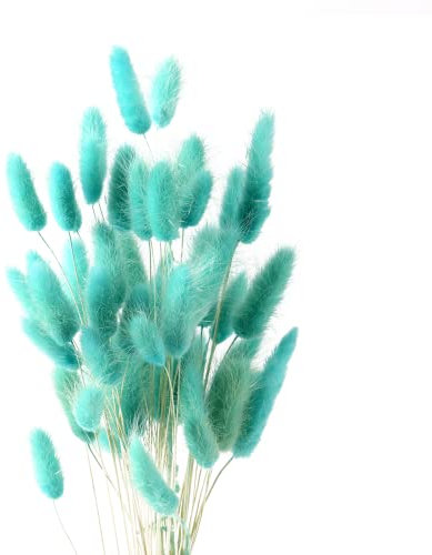 HDKAJL Pampasgras Getrocknet, 50 Stück Pampasgras Trockenblumen Deko, Bunny Tails Trockenblumen Klein Groß Blumen Natürliche DIY Trockene Blüten Strauß für Hochzeit Boho Wohnzimmer Schlafzimmer Deko