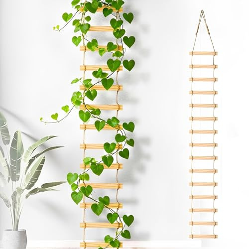 180x20cm Wandrankgitter Für Kletterpflanzen Dekorieren, Trapezförmig Rankhilfe Aus Holz Für Drinnen Und Draußen, Zur Unterstützung Von Efeu Efeutute Monstera