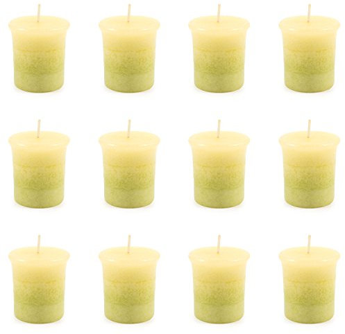 pajoma® Duft-Votivkerze 12 Stück à 55 g, Lemongras 5 cm | Marmorvotivkerze, Brenndauer ca. 17 Stunden - Höhe 5 cm ø 4 cm | Premium Qualität