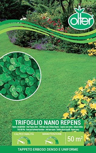 Olter Prato trifoglio nano repens tappeto erboso denso e uniforme 500g