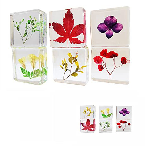 PTGMH Blumen-Briefbeschwerer, Kunstharz, Briefbeschwerer für Schreibtisch mit echten gepressten Blumen, Tischdekoration, transparent, quadratisch, Würfel, Schreibtisch-Ornament (Farbe B)
