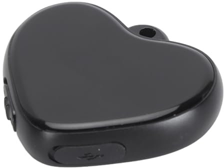 Digitaler -Sprachaktivierter Rekorder, Geräuschreduzierender MP3-Player-Recorder mit Wiederaufladbarem Akku für Vorträge, Besprechungen, Interviews (8GB)