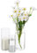 Cilindro Vaso Di Fiori In Vetro Trasparente, 3 Pezzi/Set Glasseam Modern Basic Vasi Per La Decorazione Della Tavola Centrotavola Matrimoni Fiori Rose Pampa Per Soggiorno Ornamenti, 15/20/25 Cm Alto