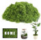200g Musgo Artificial Ultrarealista - Hecho en Nylon Ecológico de Alta Densidad para Decoración de Terrarios, Centros de Mesa, Paredes y Jardines Verticales - Textura Natural, Resistente al Agua