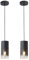 Modern Style Battery Operated Pendant Light Set of 2,Black Battery Ceiling Light fixtures with Rechargeable 8000mAh Bulbs 10 Colors Modes Remote Dimmable for Bedroom Living Room Hallway