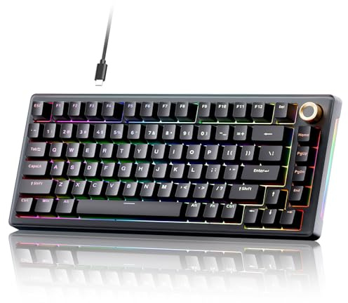 TMKB T81E Gasket-Montage Mechanische Gaming-Tastatur, Hot-Swap Kabelgebundene Tastatur, 82 Tasten mit RGB-Beleuchtung, 75% US-QWERTY-Layout, Vorab Geschmierte Lineare Switches - Schwarz