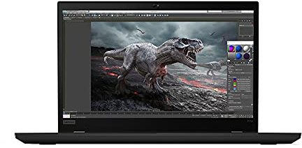 Lenovo Display ThinkPad P15s Gen 2 | 15,6 pollici 1920 x 1080 | Intel Core i7-1165G7 | NVIDIA Quadro T500 4GB | 32GB RAM | 1TB SSD | Windows 11 Pro Notebook Laptop | 1 anno di garanzia (ricondizionato