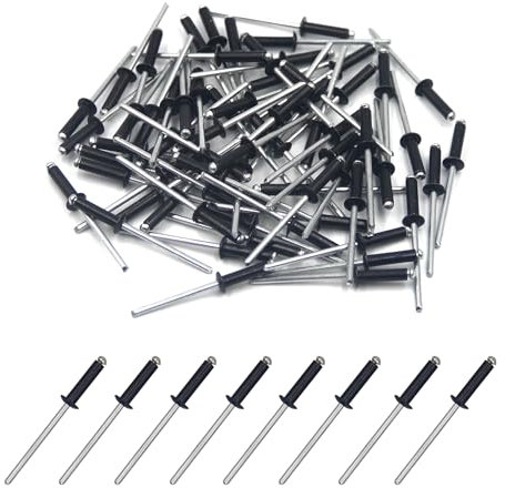 BESTYCHAO Lot de 100 rivets à sertir en aveugle en aluminium 3,2 mm x 12,7 mm, rivet à extrémité ouverte, lot de 100 (Noir)