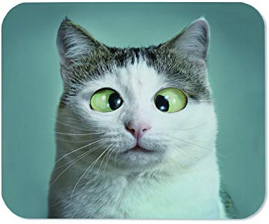 Tapis De Souris Yeuss Silly Cats Tapis De Souris Rectangulaire Antidérapant, Chat Drôle Chez L'Ophtalmologiste Appointmet Squinting Close Up Portrait Gaming Mouse Pads, White Grey Green, 200mm X 240mm