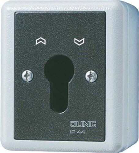 Jung 806.28G Schluesselschalter