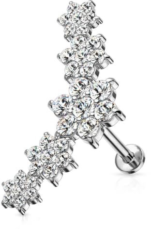 Stachelkleid Labret Helix Piercing Chirurgenstahl 316L 1,2 mm Blumen Zirkonia Ohr Tragus Größe Farbe Auswahl Gold Rose Silber Glitzer Kristall Stein Schmuck Lippe Silber/Klar, 8 mm