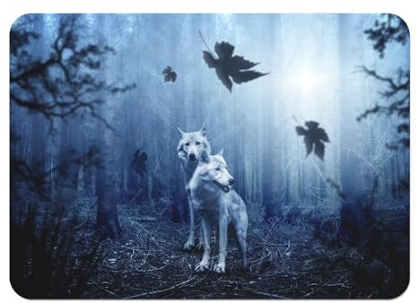 Set di 4 tovagliette in sughero, coppia di lupi, punta scura, animali selvatici, dimensioni 39,5 x 28,5 cm