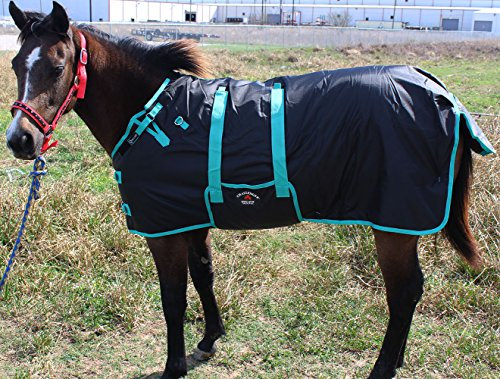 CHALLENGER Winterdecke 51945, 600D, Miniatur-Weanling, Esel, Pony, Pferd, Fohlen, 101,6 cm