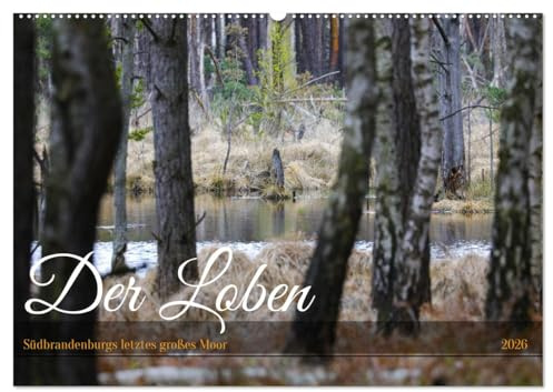 Der Loben. Im Reich der Moorgeister und Kreuzottern- Südbrandenburgs letztes großes Moor (Wandkalender 2026 DIN A2 quer), CALVENDO Monatskalender: ... Heidelandschaft (CALVENDO Natur)