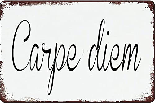 Carpe Diem 30,5 x 40,6 cm Retro Vintage Dekor Schild Metall Blechschild Home Bar Wanddekoration