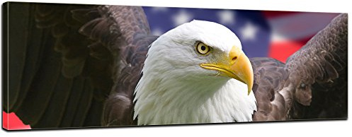 Bilderdepot24 Bild auf Leinwand | American Eagle mit Flagge in 120x40 cm als Panorama Wandbild XXL | Wand-deko Dekoration Wohnung modern Bilder | 170303