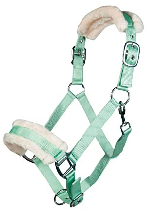 Posten Bischofshofen Halfter & Stricke Hellgrün Pony