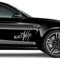Auto-Dress® Auto Aufkleber, Dekor, Sticker - The Beast (Farbwunsch, Black Beast)