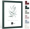 Bildershop-24 Bilderrahmen modern stabil Dalia Tannengrün Dunkelgrün 50 X 100 cm Rahmen für Bilder Urkunden Poster Farbe & Größe wählbar