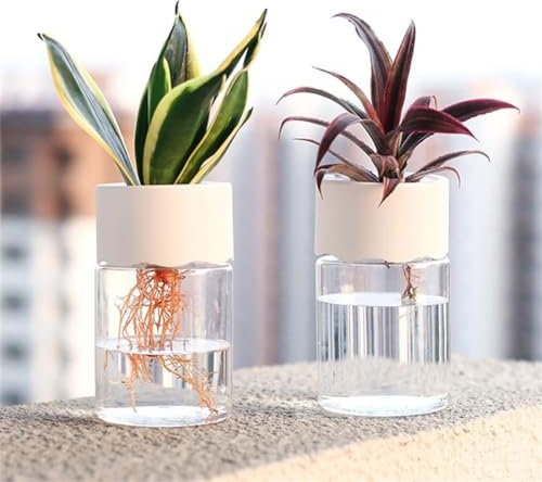 Omana Lot de 2 mini pots de fleurs hydroponiques en plastique transparent pour pépinière intérieur/extérieur