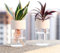 Omana Lot de 2 mini pots de fleurs hydroponiques en plastique transparent pour pépinière intérieur/extérieur