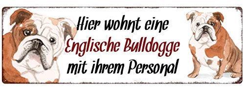 Interluxe Metallschild - Hier wohnt eine Englische Bulldogge - dekoratives Schild, Blechschild als Geschenk für Menschen mit Hund