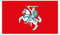 Stormflag Litauen army Flagge 3x5ft Lithuanian army 90cmx150cm Polyester 90g mit Ösen mit Doppelnadel genäht.