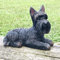 Animal Crackers Dekofigur Laying Scottie Dog, Bronze-Effekt, wetterfestes Harz, tolles Geschenk für Scottish Terrier