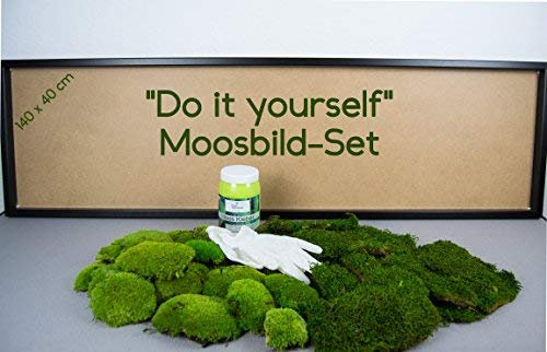 DIY Moosbild 100% Flachmoos, Moosbild selber Machen, Wandbild selber kleben, Do it Yourself Set Moos kleben Wanddeko selbst herstellen (Schwarz, 140x40 cm)