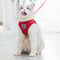 Anlitent Easy Control Quick Release Cat Harness and Lead Set for Walking Escape Proof Kitten Vest Harnesses for Small Animals Rabbit/Mouse/Cats, Cute Cat Puppy Collar Extra Small (X-Small, Red)