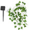 FUOBECIE Solar-LED-Lichterkette, künstliche Efeublätter-Lampe, gefälschte Efeu-Girlande, Reben, 8 Modi, wasserdicht, solarbetriebene Ahornblätter für Garten, Terrasse, Tor, Hof, Party (5 m)