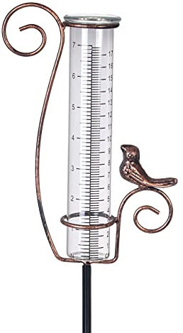 HOBYLUBY Pluviomètre extérieur de 17,8 cm pour mesurer Les précipitations, décoration de Jardin et Cour