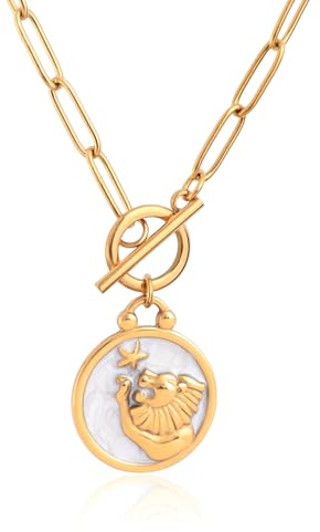 TaYolnFaSo Pisces Necklace Paperclip Toggle Pendant for Women Constellation Zodiac Sign Necklace Astrology Horoscope Coin Pisces Jewelry Birthday for Female