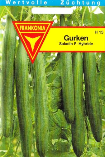 Gurke, Saladin F1, Hybride, ca. 8 Samen