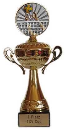 RaRu Volleyball/Beachvolleyball-Henkelpokal mit Resin-Emblem und Gravur