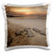 3dRose Mexico-Boca Del Cielo-Olive Ridley Sea Turtle-Sa13 Rgo1318-Russell Gordon Design-Kissenbezug, Weiß, 16 x 16