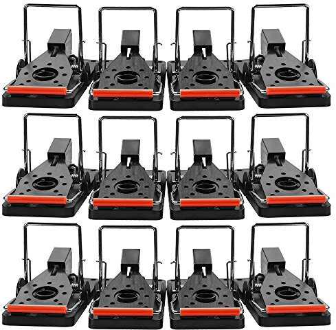 NANDEYIBI Profi Mausefalle Schlagfalle 12 Stück Leistungsstarke Schlagfalle Ratte,Ungiftig/Schnelle Abtötung/Leicht Zu Reinigen/Einfach Einzustellen/Kunststoff/Wiederverwendbar(12 Stück)