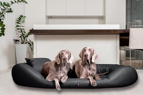 tierlando® Orthopädisches Hundebett Sammy | Pflegeleichtes Kunstleder | Dicke Umrandung | L - XXXXL Hundesofa Schwarz Gr. XXXL 170 cm