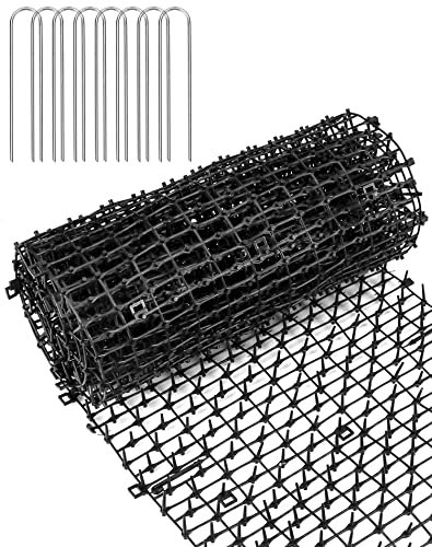 QWORK® Pinchos Anti Gatos -200cm x 30cm - Alambre de Espino Ahuyentador Gatos para Perros, Gatos y Otros Animales