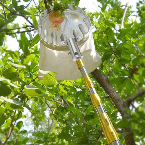 Obstpflücker mit teleskopstange 2-7M Kirschenpflücker Pflaumenpflücker Obstpflückstange für Früchte von Hochgelegenen Orten Pflücken (Color : B, Size : 2m(6.6ft))