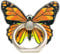 Kinizuxi Soporte de Anillo de teléfono Celular de Mariposa, Cute Anilla Movil SoporteRotación de 360 ° Anillo Soporte Movil Compatible con iPhone Samsung y Todos los teléfonos Inteligentes