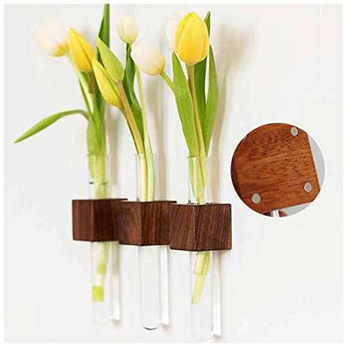 WAYUTO Set di 3 vasi magnetici per frigorifero, porta del frigorifero, piante idroponiche, ornamenti per casa, ufficio, frigorifero, decorazione