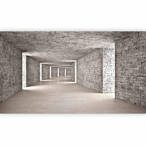 murando - Fototapete XXL 3D Tunnel 500x280 cm - Foto Tapete Schlafzimmer Wohnzimmer Moderne Vliestapete XXL Wandtapete Motivtapeten Bildtapete 3d Effekt Wand Dekoration - Mauer Ziegel d-B-0332-a-b
