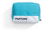 Celly, Travel Bag Linea Pantone, Organizer da Viaggio 12.5 x 15 x 5 cm, Ideale per Bagaglio a Mano, per Contenere Smartphone e Accessori in Viaggio, Emerald Lake