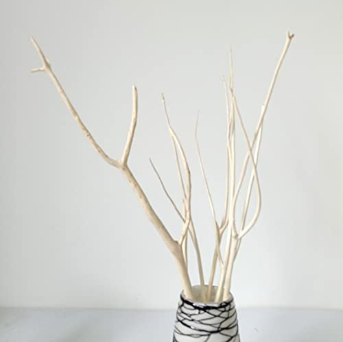 Branches de mitsumata décoratives séchées et blanchies en bois naturel pour décoration de maison, de fête de mariage et de 53,3 à 58,4 cm
