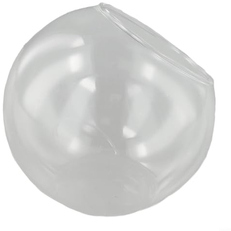 Jarrón de vidrio para terrario de plantas suculentas con boca abierta, vidrio de borosilicato transparente adecuado para decoración del hogar, jardín, tienda y eventos (B)