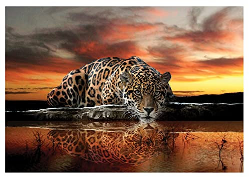 Forwall - Vlies Fototapete Leopard Tiere Tier Afrika Safari Orange 416x254 cm - Fototapeten - Tapeten - für Wohnzimmer Schlafzimmer - Vliestapete Wandtapete Tapete 3D Effekt- inkl. Kleister